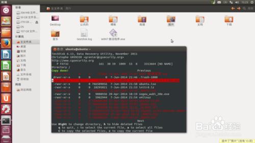 U盘失误格式化咋办？Ubuntu免费数据恢复Testdisk