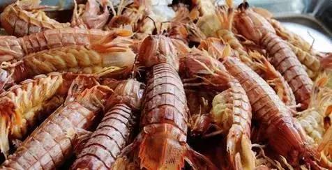 羊口开海！倒计时一天！第一网吃起来！看完哈喇子流一地