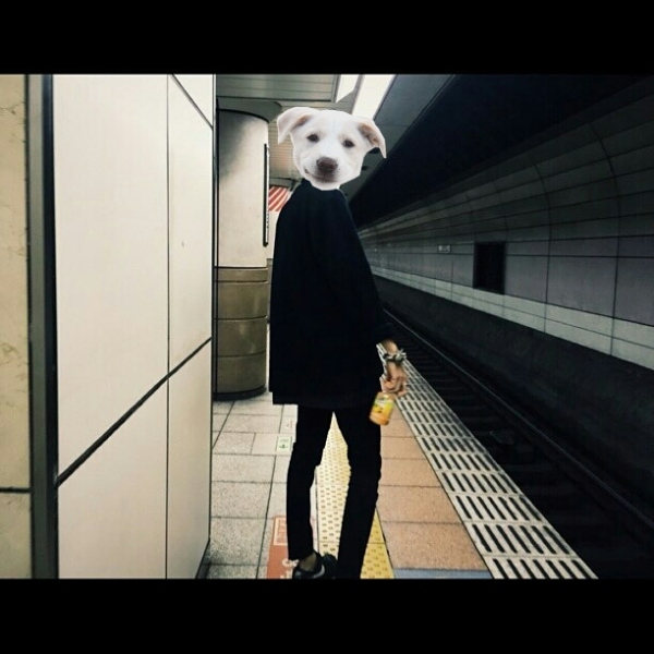 男生穿衣风格乱穿,男生典型的错误穿搭