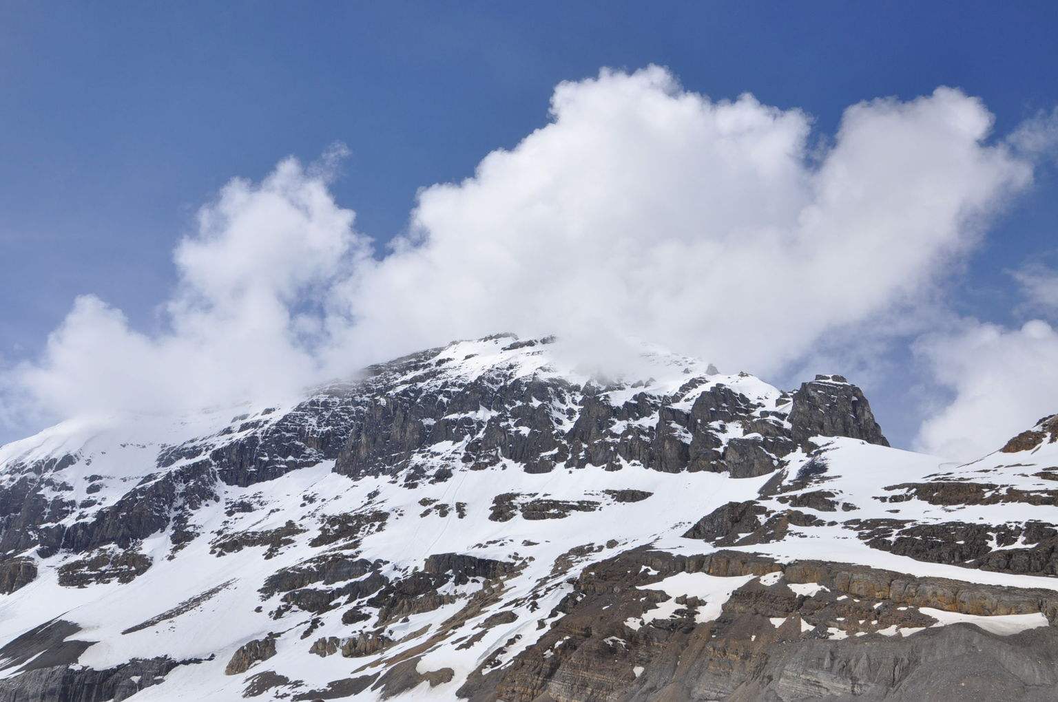 这个「全球宜居城市」已被中国人占领，“不学中文就找不到工作”