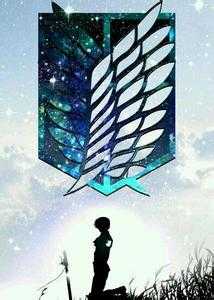 烟花易冷一个永恒的孤独故事,烟花易冷出自哪个故事