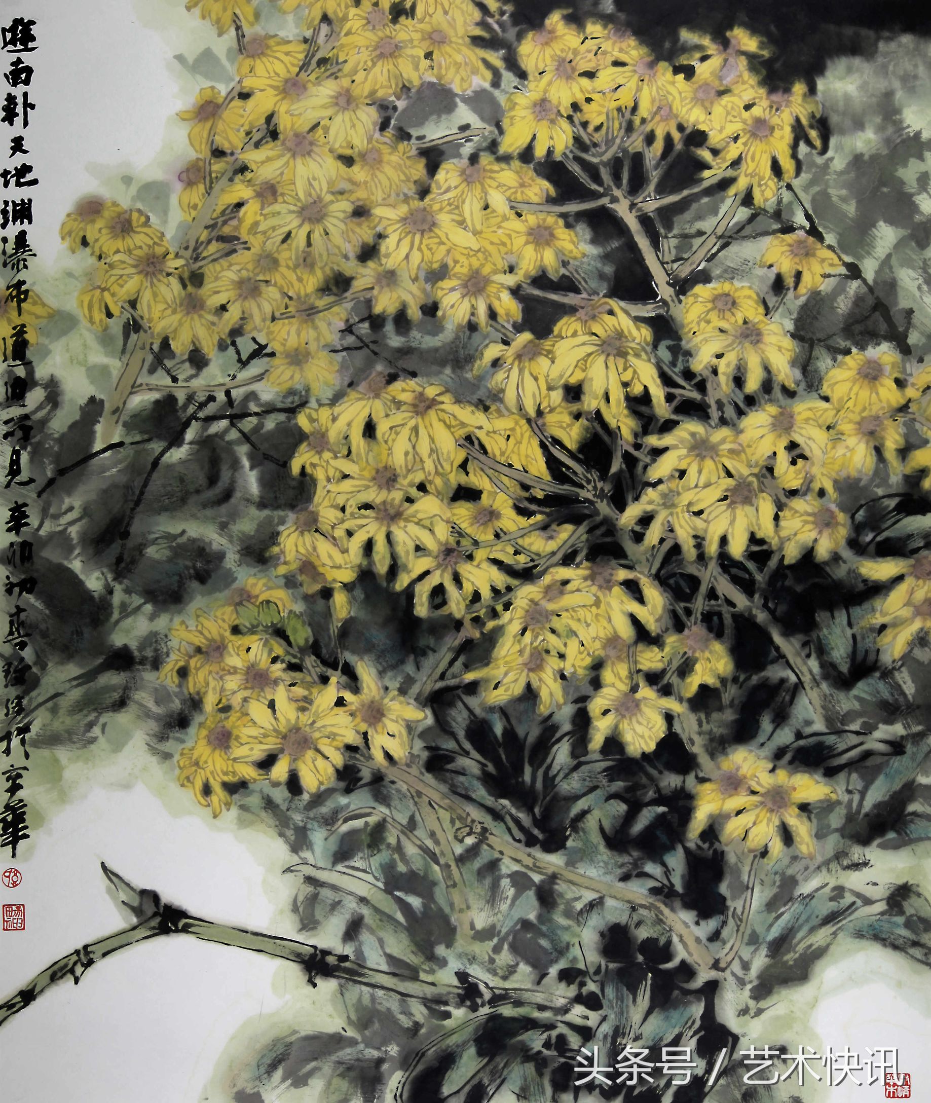 郭玫孮：时代的召唤节选