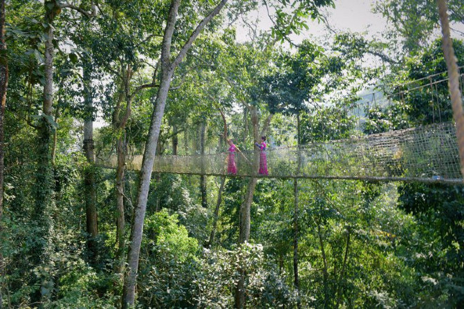 去西双版纳旅游吃住行攻略,去西双版纳旅行自由行攻略