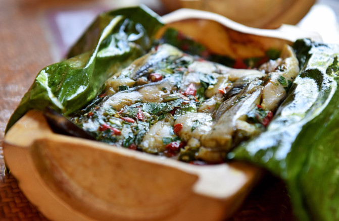 去西双版纳旅游吃住行攻略,去西双版纳旅行自由行攻略