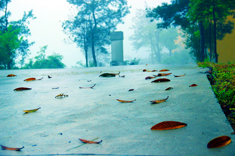 烟花易冷一个永恒的孤独故事,烟花易冷出自哪个故事