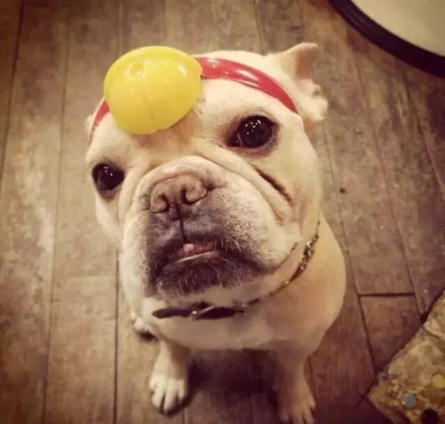 问得最多的问题是什么,问得最多的问题