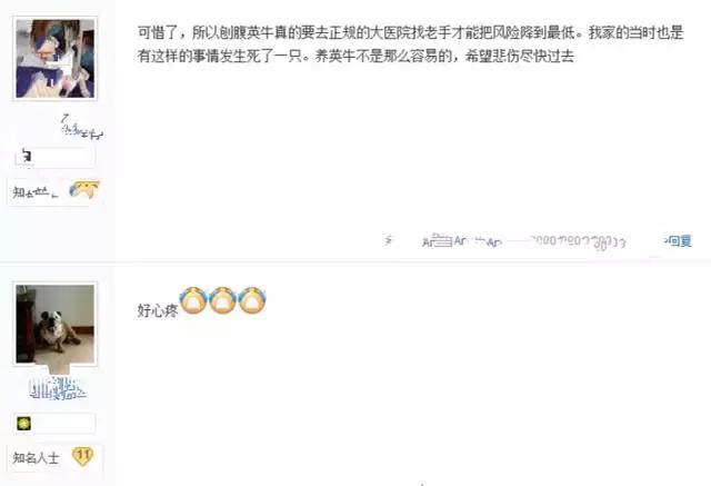 英牛下崽困难,英牛生过小狗怎么处理