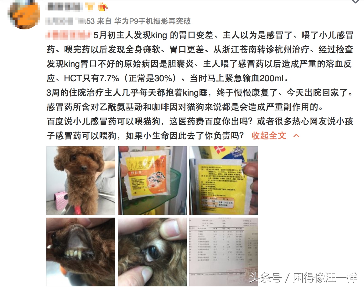 狗狗吃人的药有副作用吗,狗狗吃人用药需减药量吗