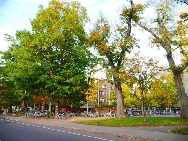 鏃ユ湰鐢垫皵閫氫俊澶у,鏃ユ湰鐢垫皵閫氫俊澶у浣嶇疆