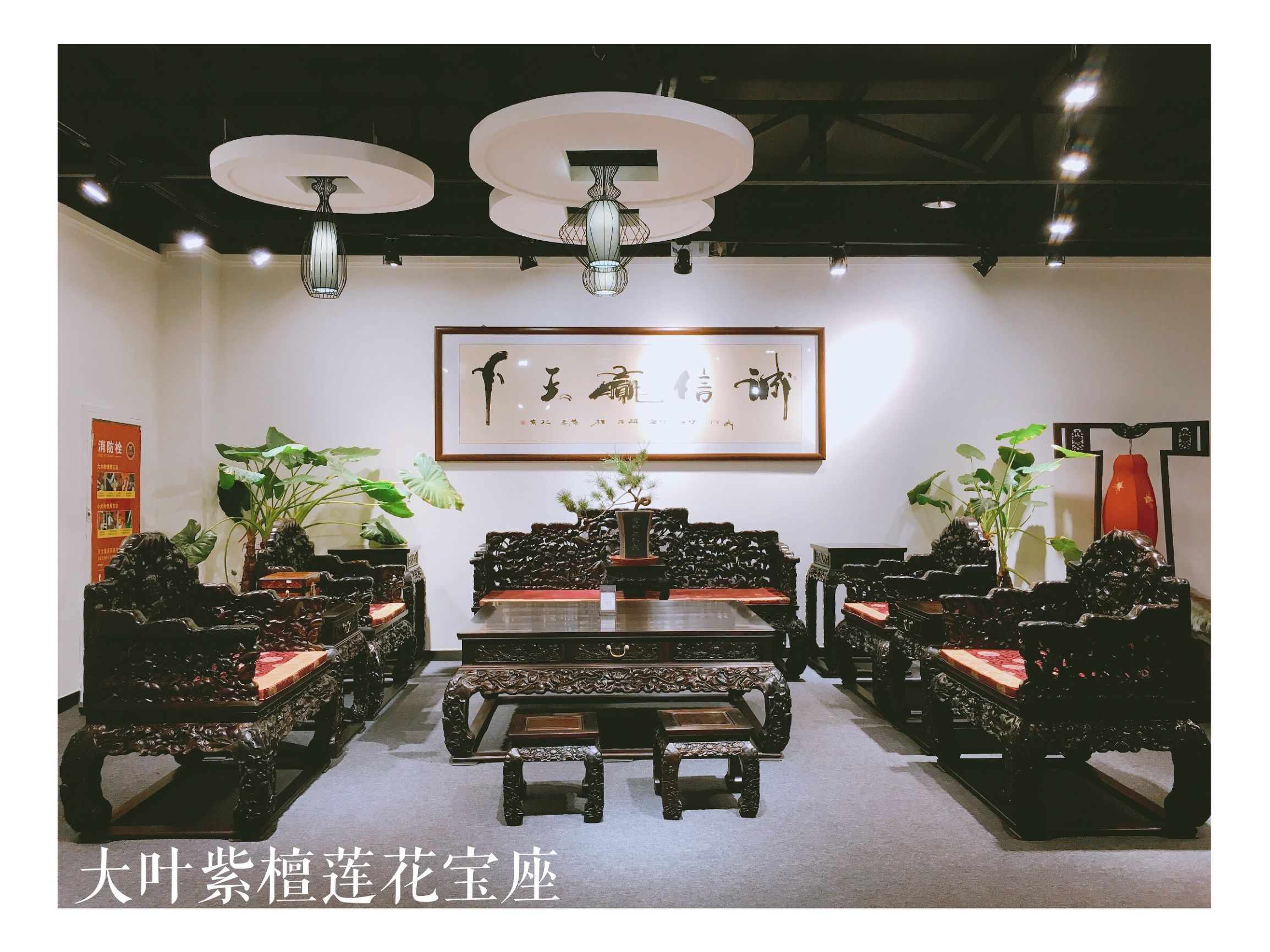 红木科普知识讲解,红木知识科普