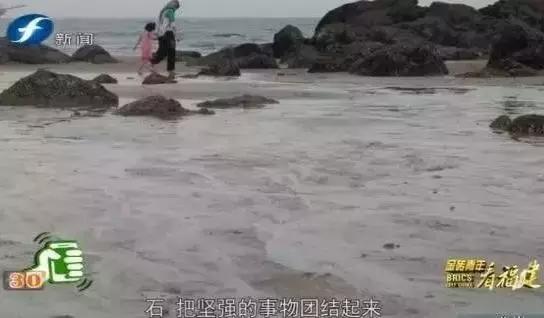 金砖青年看福建|“闽南刺绣绣石头”迷住印度青年