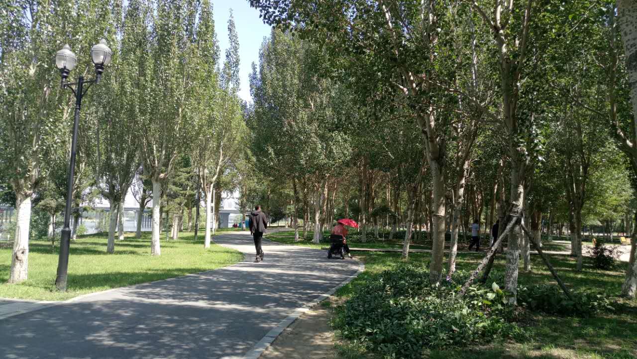 沈阳长白岛森林公园有海吗,游沈阳的长白岛森林公园400字作文