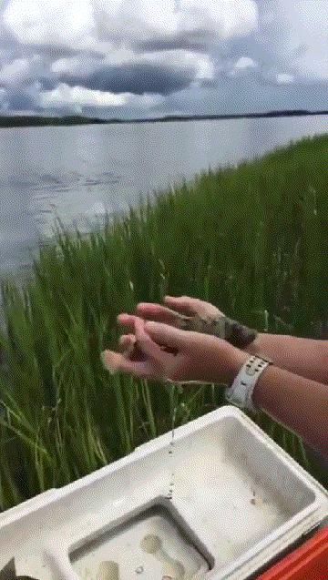 爱睡懒觉的喵大人,喜欢睡懒觉的猫猫