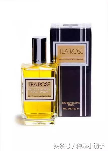 五款好用却便宜的国货香水,适合女生春天使用的香水小众平价