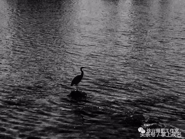 手机摄影田园生活图片,手机摄影主题