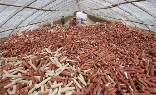 当石墨烯遇上“小嘿裤”，圣泉的想象空间有多大？