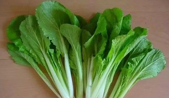 淡水龟吃什么食物,龟吃什么食物好