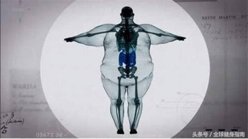 我不是胖我只是骨架大原版,我不是胖我是骨架大