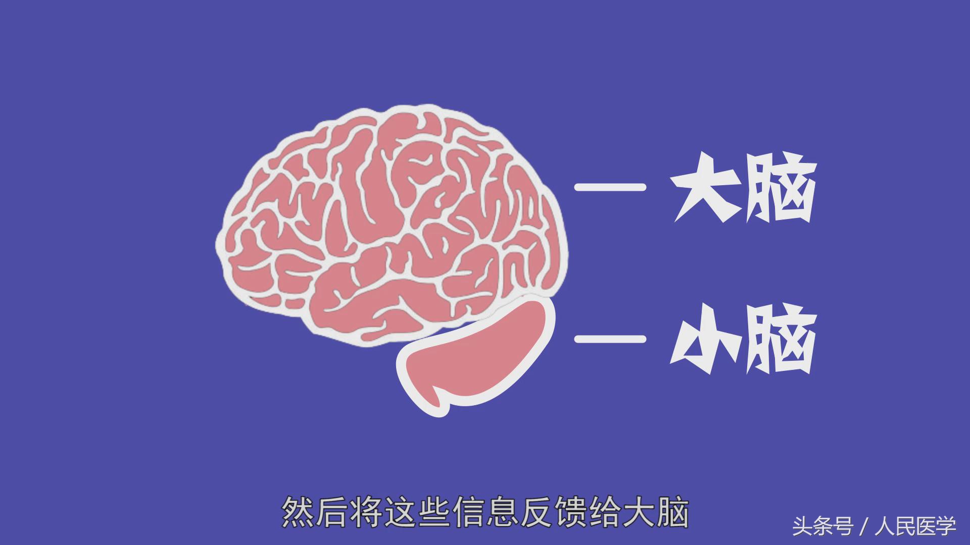 神经末梢引发的瘙痒症状,怕痒是因为神经多吗