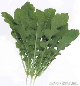 韩国晒萝卜缨子,韩国萝卜缨