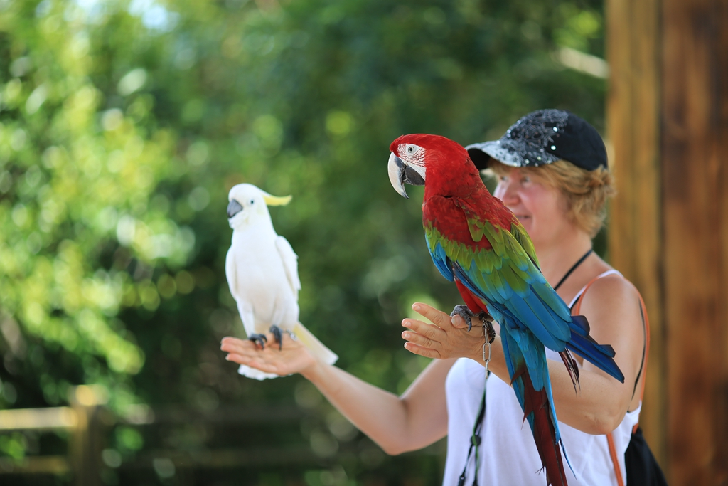何必去南美，呀诺达热带雨林就有无数宝藏