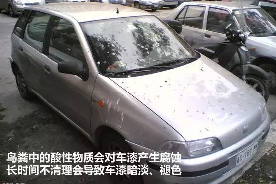 车上鸟粪怎么清理干净,车上鸟粪去除好方法