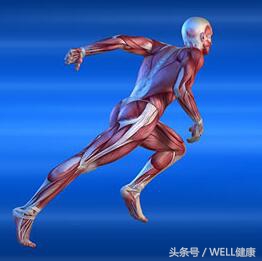 跑步拉伤大腿腘绳肌,跑步腘绳肌疼痛恢复