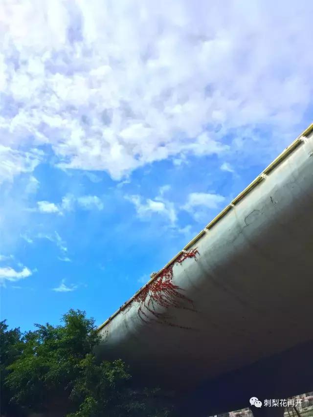 鍐嶈鍘﹂棬绂忓缓涔嬭,鍘﹂棬楣矝涔嬭