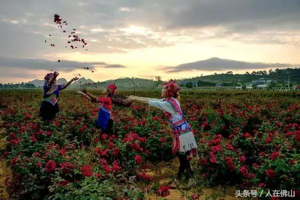 从佛山坐高铁到普者黑从哪进站,佛山西怎么坐高铁到普者黑