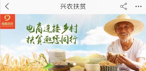 很稳!这次万能的淘宝解决了异地问题!上学再远怕什么!