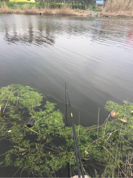 上班绑鱼钩，午休去钓鱼，因为工作耽搁了钓鱼，太不值！