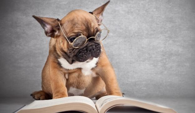 孩子写作业要不要戴眼镜,孩子写作业要戴眼镜吗