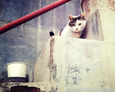 昨天济南“满城尽带公举粉”其实济南和周董歌词才是满分CP？