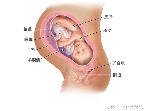 孕期孕妇最需要的是老公的关心,怀孕妈妈测试孩子