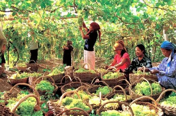 高铁山水wifi,高铁上手机没电看了一路风景