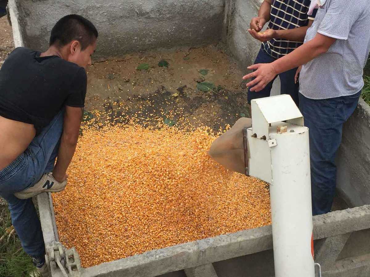 家家乐杂粮割台pk黄金谷割台,家家乐玉米收割机割台多少钱一个