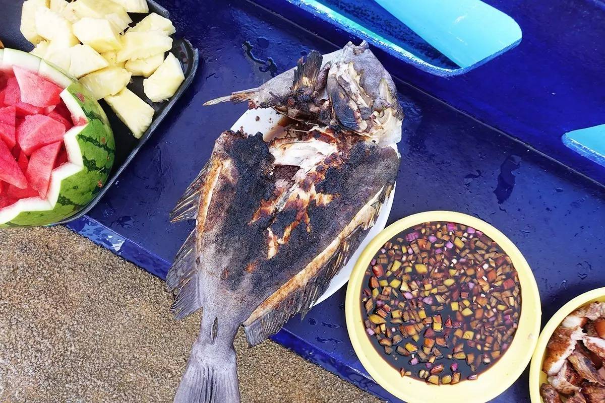 菲律宾巴拉望完整视频,菲律宾巴拉望海钓