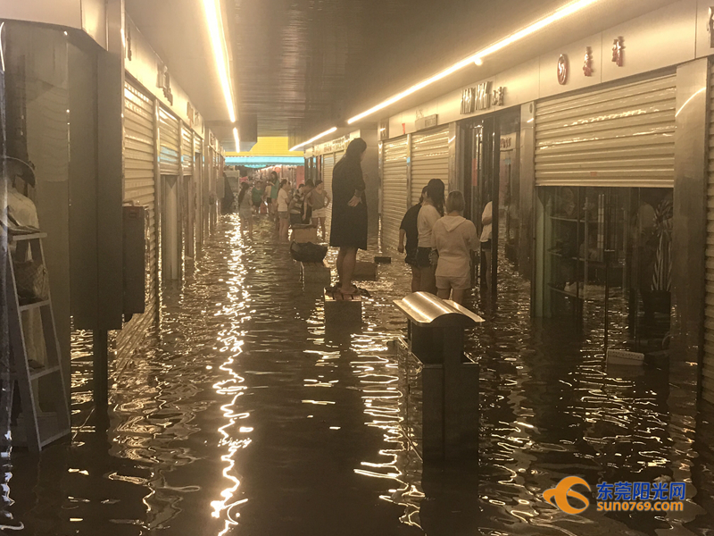 东莞海滩必备泳衣,东莞海边最新消息