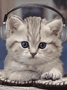 平价面膜敷出大牌效果,如何将面膜敷得服帖