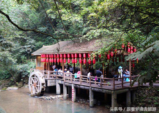 重庆最美黑山谷景区,重庆万盛黑山谷旅游如何