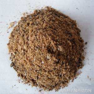 母猪长脓包怎么治,母猪出生后有黄脓怎么治