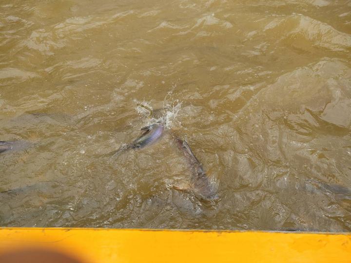 泰国曼谷芭提雅跟团游攻略,泰国曼谷芭提雅旅游一日游攻略