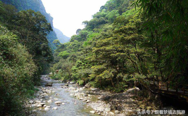 重庆最美黑山谷景区,重庆万盛黑山谷旅游如何
