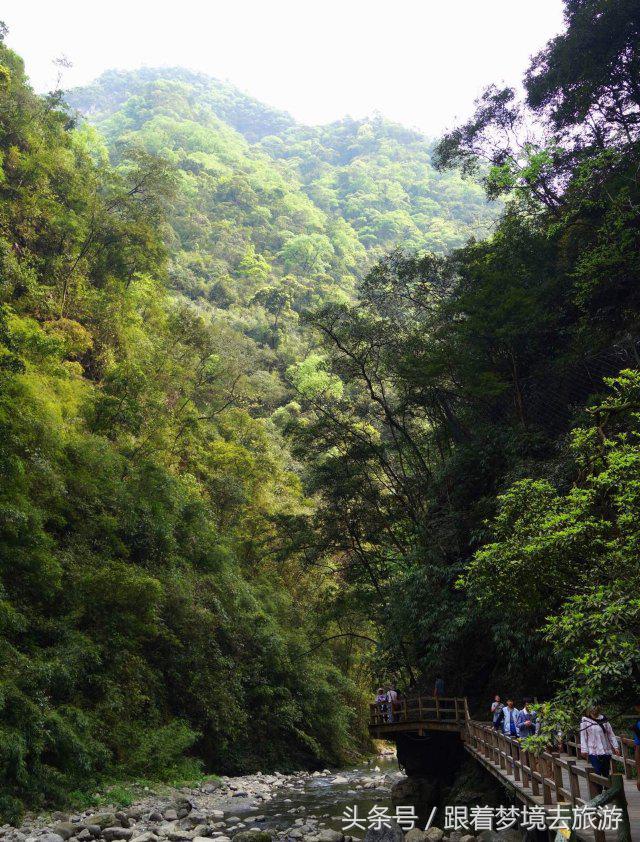 重庆最美黑山谷景区,重庆万盛黑山谷旅游如何