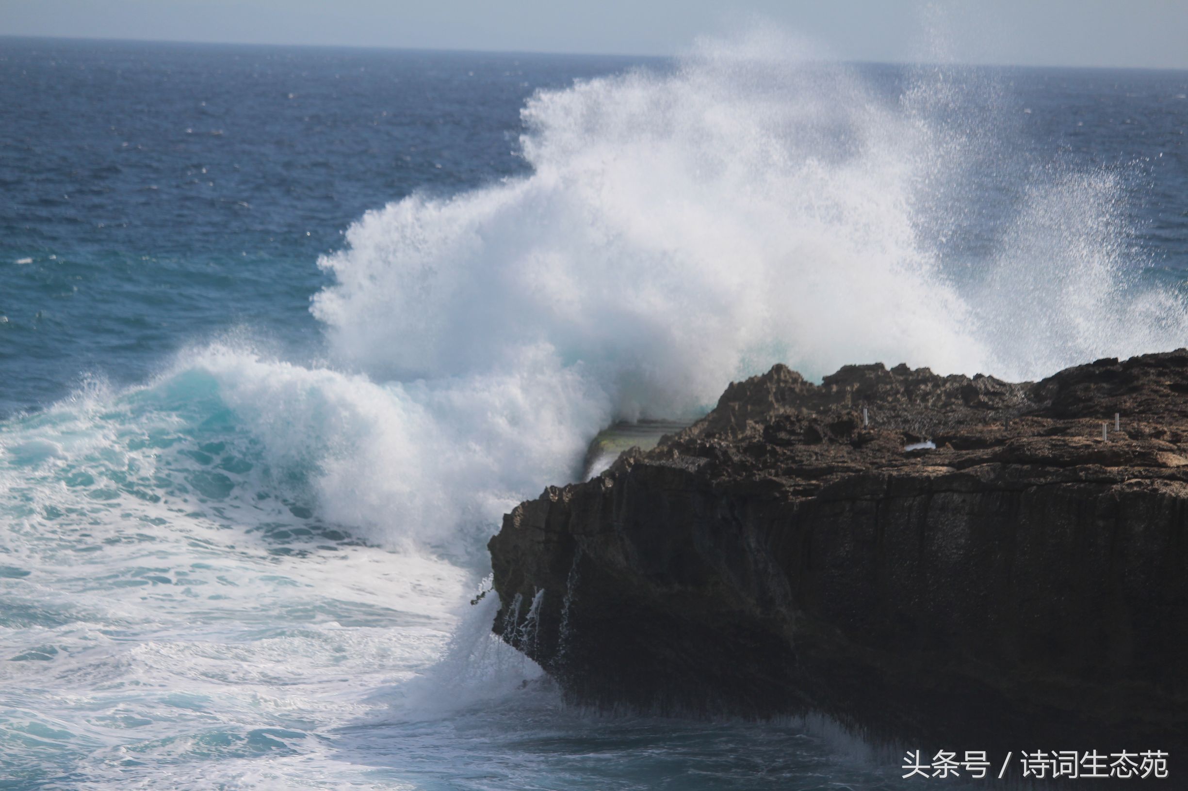巴厘印象一日游,巴厘风情旅游攻略