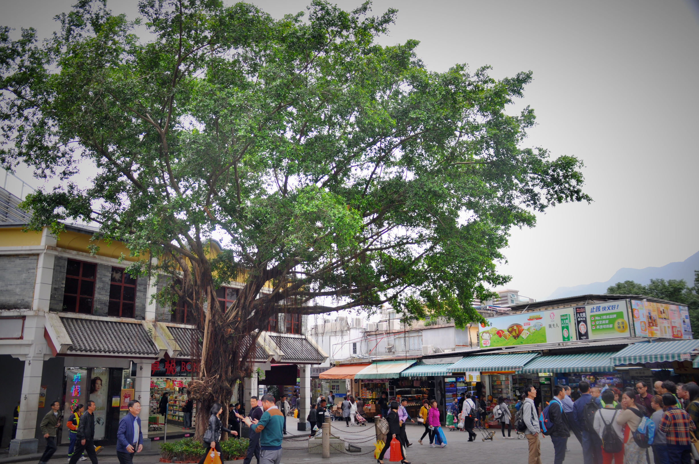 香港代购省钱攻略,香港代购去哪里买比较便宜