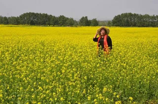带着老伴穷游,开房车带老伴穷游