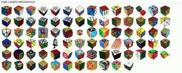 猫老师讲课全集,猫老师课堂