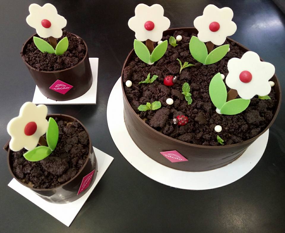 不要iPhone8,也要把CACAO带回家!