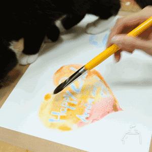 为什么看到潘玮柏送的项链，吴昕哭了？